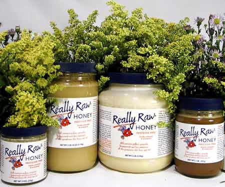 Really Raw Honey New England Nutritives
